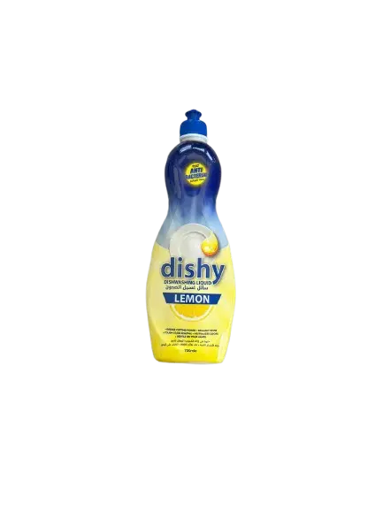 Dish Wash 700ml Dishy